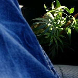 Meet your Posher, Randy